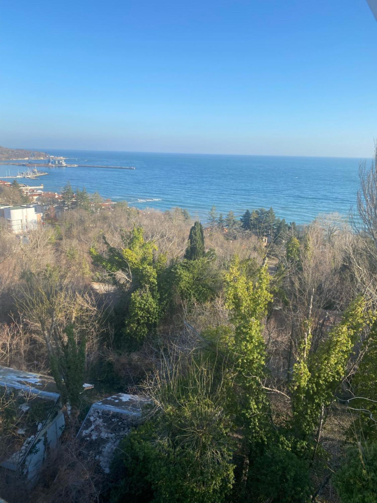 Queen'S Garden Balchik Apartment Extérieur photo